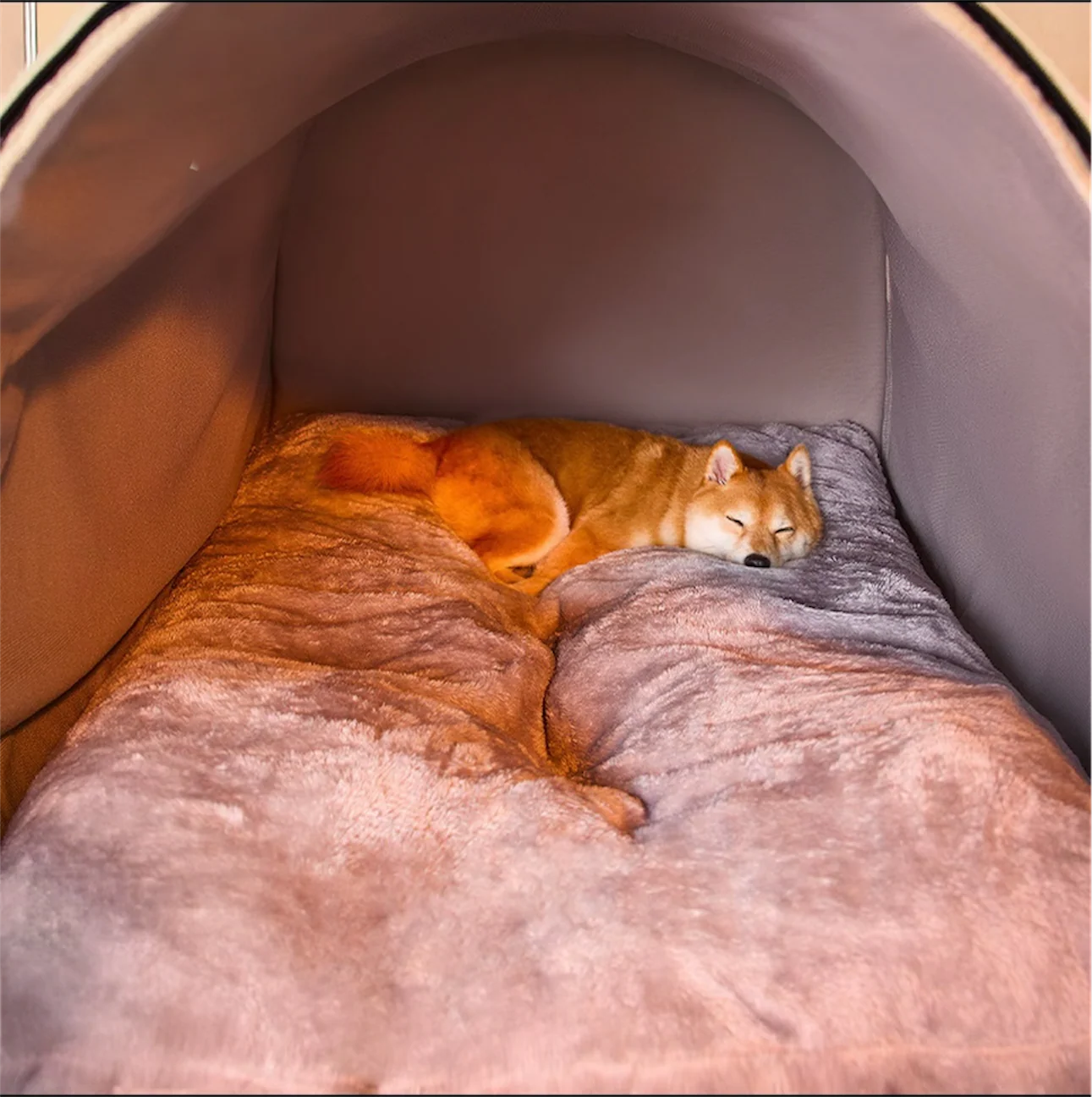 Snug & Stylish Tunnel Pet House
