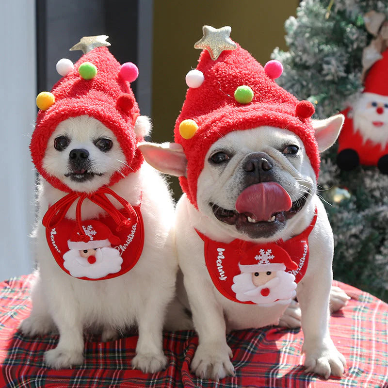 Holiday Pet Outfit
